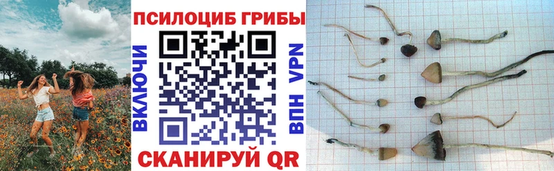 Галлюциногенные грибы мухоморы  купить   Межгорье 